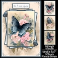 Midnight Monach Mini Kit 5x7 (3)