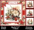 Christmas Champagne Mini Kit 7x7 (5)
