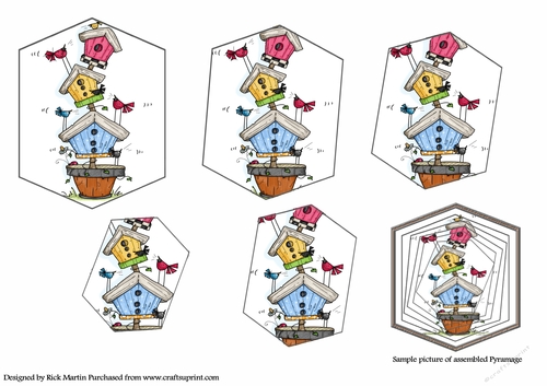 Twisted Pyramage sheet to Match A5 New Home Topiary Card Front & Topper 