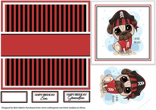 7x7 Little Pirate Card Front with Toppers and Sentiments 