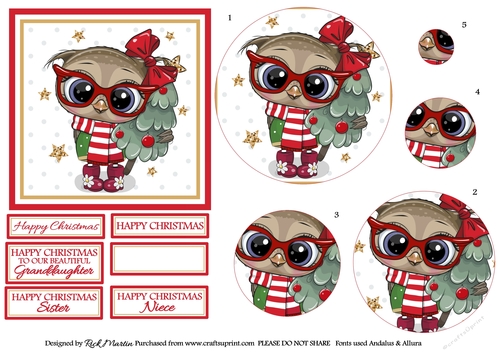 12x12cm Christmas Owl Topper, Circle Pyramage & Sentiments 