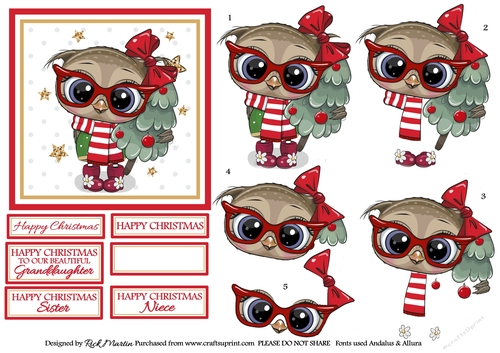 12x12cm Christmas Owl Topper, Decoupage & Sentiments 