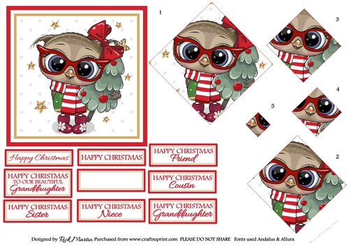 12x12cm Christmas Owl Topper, Diamond Pyramage & Sentiments 