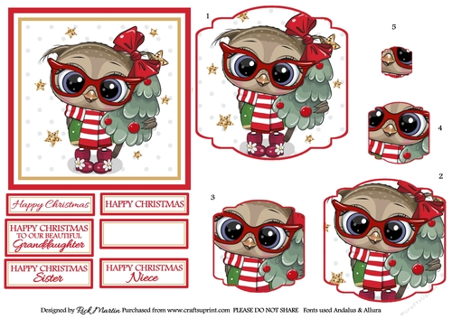 12x12cm Christmas Owl Topper, Fancy Frame 1 Pyramage & Sentiments 