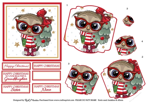 12x12cm Christmas Owl Topper, Fancy Frame 1 Twisted Pyramage & Sentiments 
