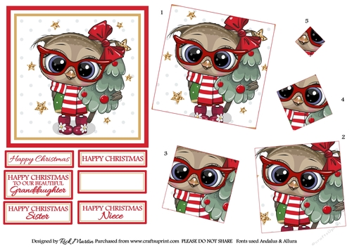 12x12cm Christmas Owl Topper, Square Twisted Pyramage & Sentiments 