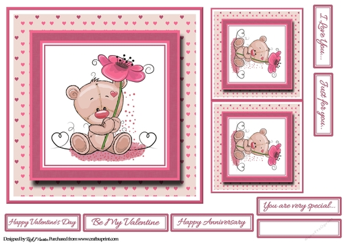 7x7 Teddy with Flowers Card Front, Gift Card & Sentiments 