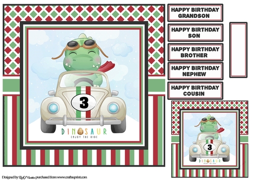 8X8 Enjoy the ride Dinosaur Card Front, Tag & Sentiments