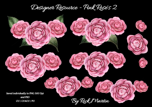 CU/CU4CU/PU Pink Roses Decoupage