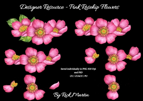 CU/CU4CU/PU Pink Rosehip Decoupage 