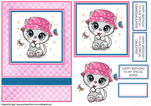 A5 Playful Summer Kitten Card Front Topper, Decoupage & Sentiments 