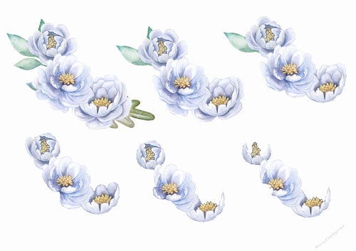 A4 Step by Step Blue Peonies Decoupage 