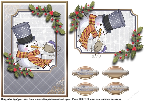 A5 Snowman & Birdy Card Front, Topper and sentiments 