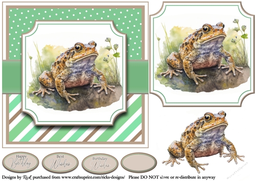 7x7 Froggin Birthday Card Front, Topper and Decoupage Layer 