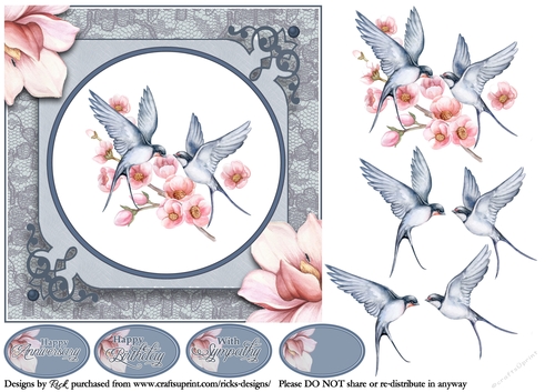 7x7 Kingfisher Birds Card Front, Topper and sentiments