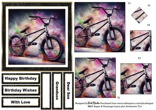 BMX Topper, Pyramage Layers and Sentiments T14