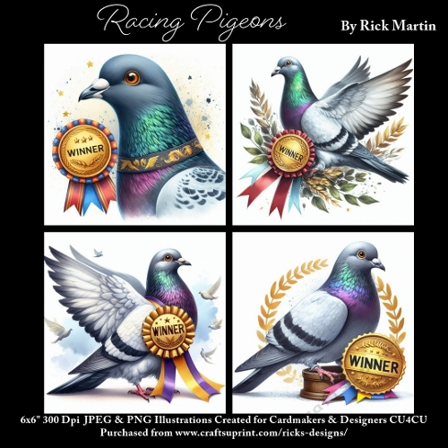 Racing Pigeons - Ilustrations for Cardmakers & Designers