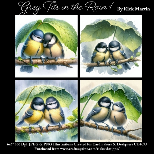 x4 Grey Tits in the rain 1  - Ilustrations for Cardmakers & Designers