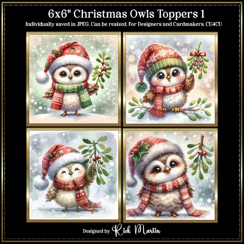 6x6 Christmas Owls 1 - Illustrations for Cardmakers and Designers 