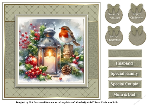 8x8 Sweet Christmas Robins Quick Card Front & Sentiments 
