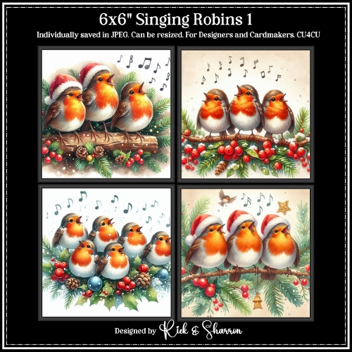 6x6 Carol Singing Robins 1-4 - JPEG  