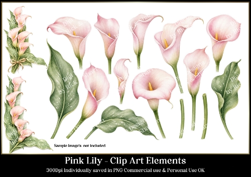 Pink Calla Lily Flower Elements/Clip Art