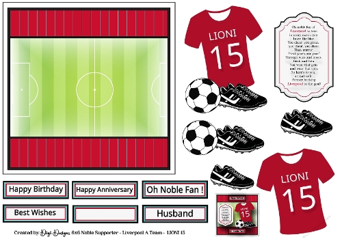 6x6 Noble Supporter - Liverpool - LIONI 15