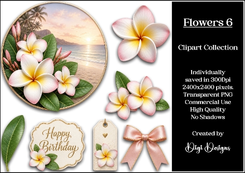 Flowers 6 Clipart Collection PNG