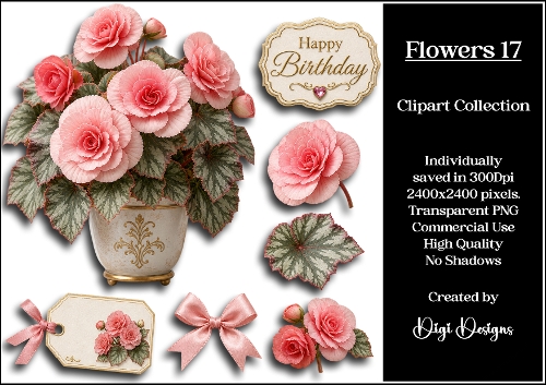 Flowers 17 Clipart Collection PNG