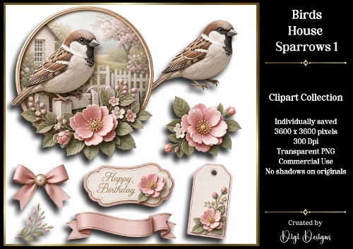 Birds- House Sparrows 1 Clipart