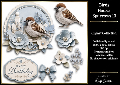 Birds- House Sparrows 13 Clipart