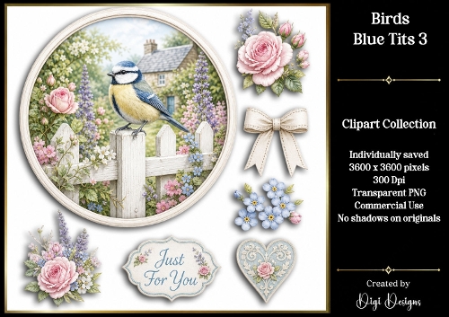Birds - Blue Tit 3 Clipart Collection
