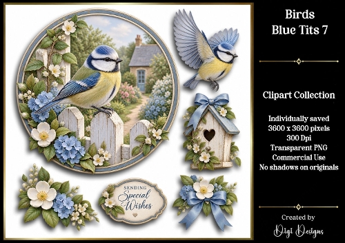 Birds - Blue Tit 7 Clipart Collection