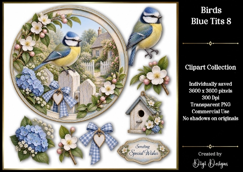 Birds - Blue Tit 8 Clipart Collection