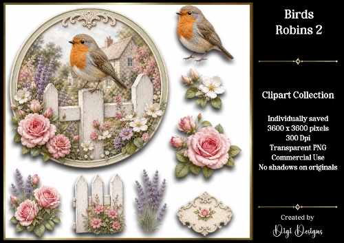 Birds - Robins 2 Clipart Collection