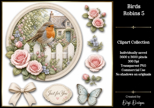 Birds - Robins 5 Clipart Collection