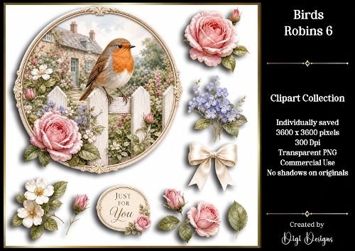 Birds - Robins 6 Clipart Collection