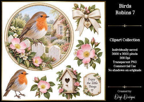 Birds - Robins 7 Clipart Collection