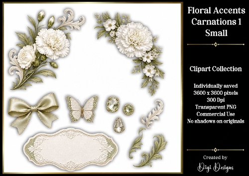 Flowers-Carnations 1 Clipart Accents 