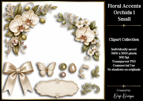 Flowers-Orchids 1 Clipart Accents 