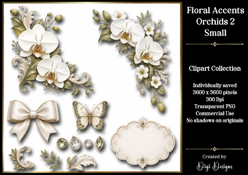 Flowers-Orchids 2 Clipart Accents 