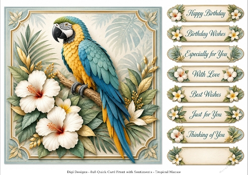 8x8 Tropical Macaw - Quick Card Front with Sentiment 