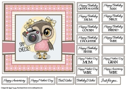 7x7 Say Cheese Girl Card Front with sentiments 