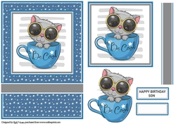 A5 Cool Cat Card Front, Topper, Decoupage Layer, Ribbon & Sentiments