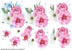 Pink Peonies Step by Step 8 layer Decoupage