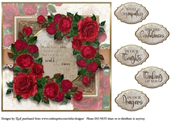 8x8 Roses in the rain... sympathy