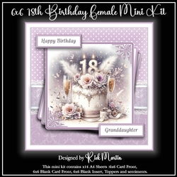 6x6 18th Birthday Female Mini Kit - x14 A4 Sheets 
