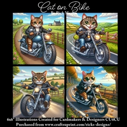 CAT ON BIKE  - Illustrations for Cardmakers & Designers 