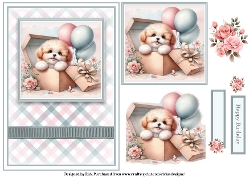 A5 Gift Boxed Puppy 1 Card Front