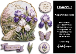 Flowers 7 Clipart Collection PNG